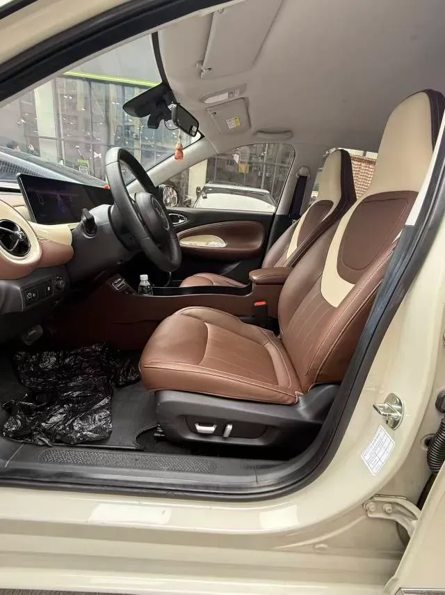 2023 WuLing BinGuo BEV 37.9KWH,autocango,china used car exporter,china ev exporter,chinese used car exporter,chinese used ev exporter