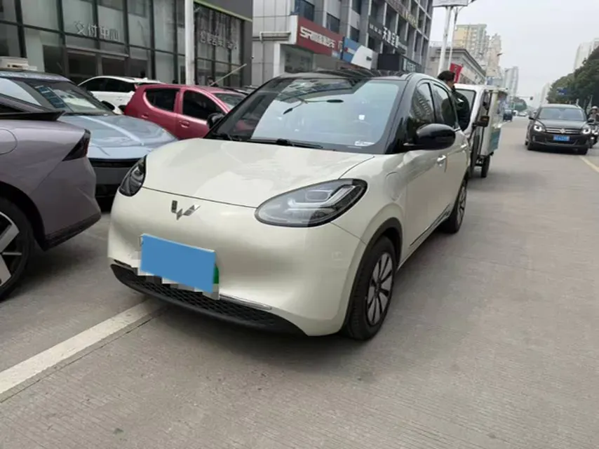 2023 WuLing BinGuo BEV 37.9KWH,autocango,china used car exporter,china ev exporter,chinese used car exporter,chinese used ev exporter
