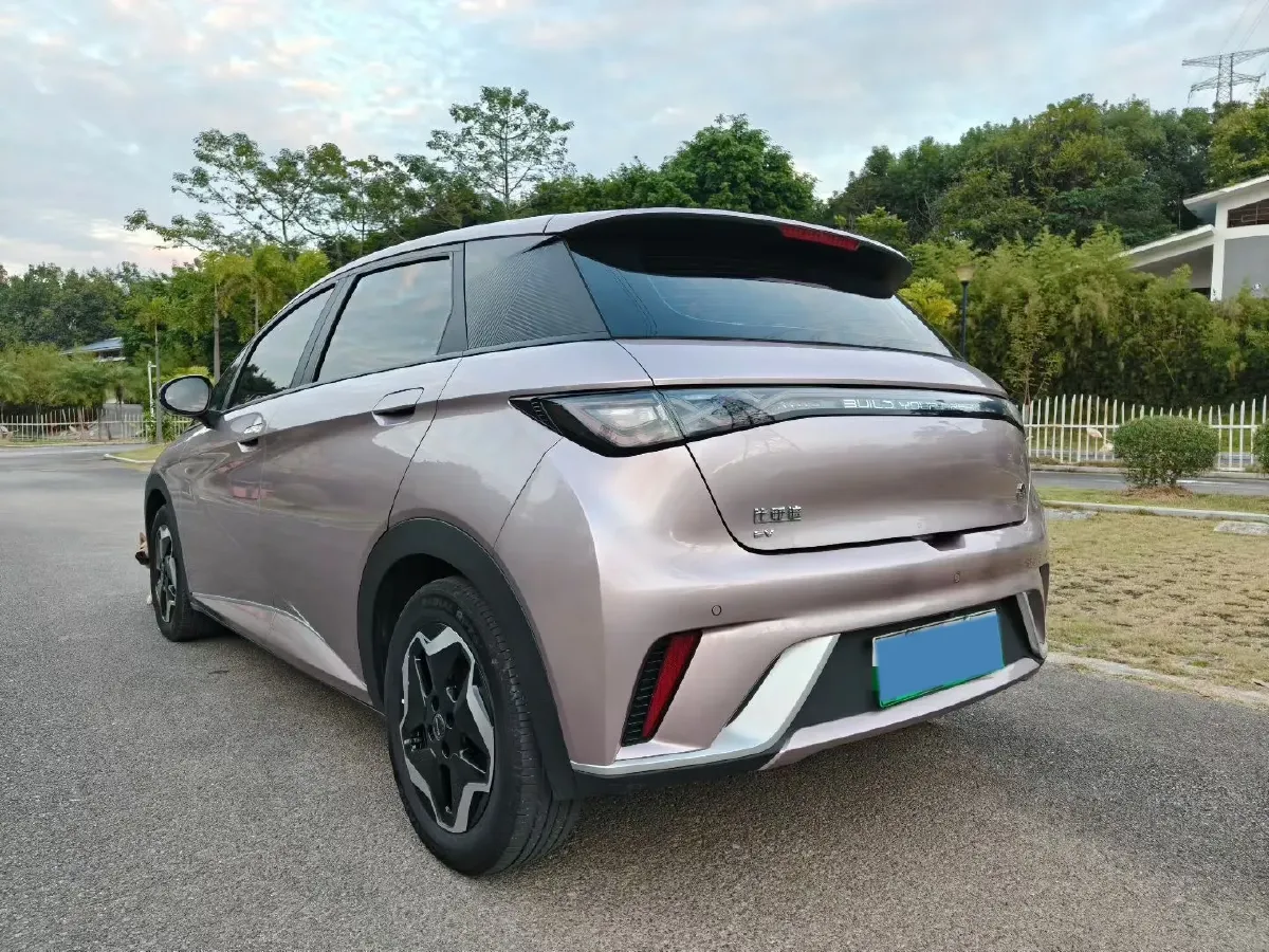 2021 BYD Yuan Pro BEV 50.1KWH,autocango,china used car exporter,china ev exporter,chinese used car exporter,chinese used ev exporter