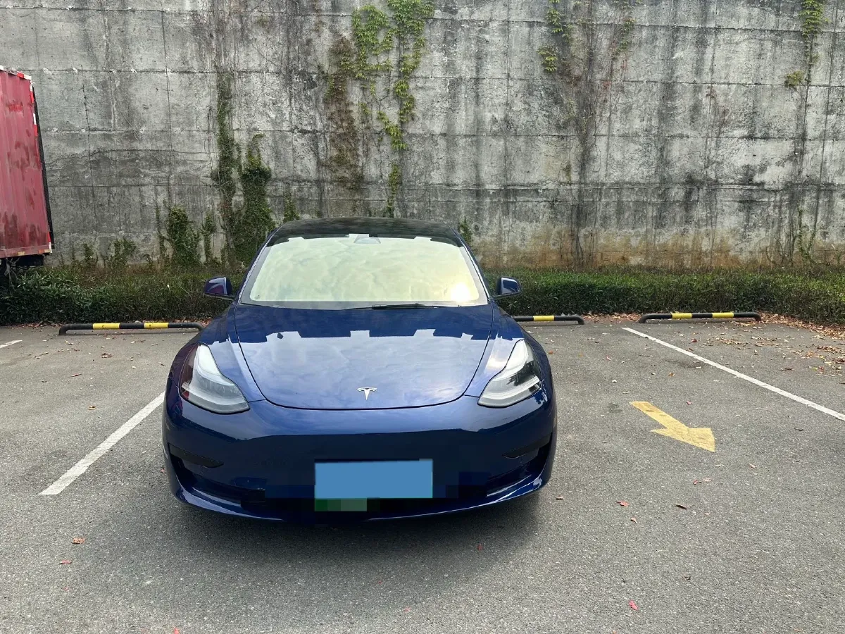 2022 Tesla Model 3 BEV 60KWH,autocango,china used car exporter,china ev exporter,chinese used car exporter,chinese used ev exporter