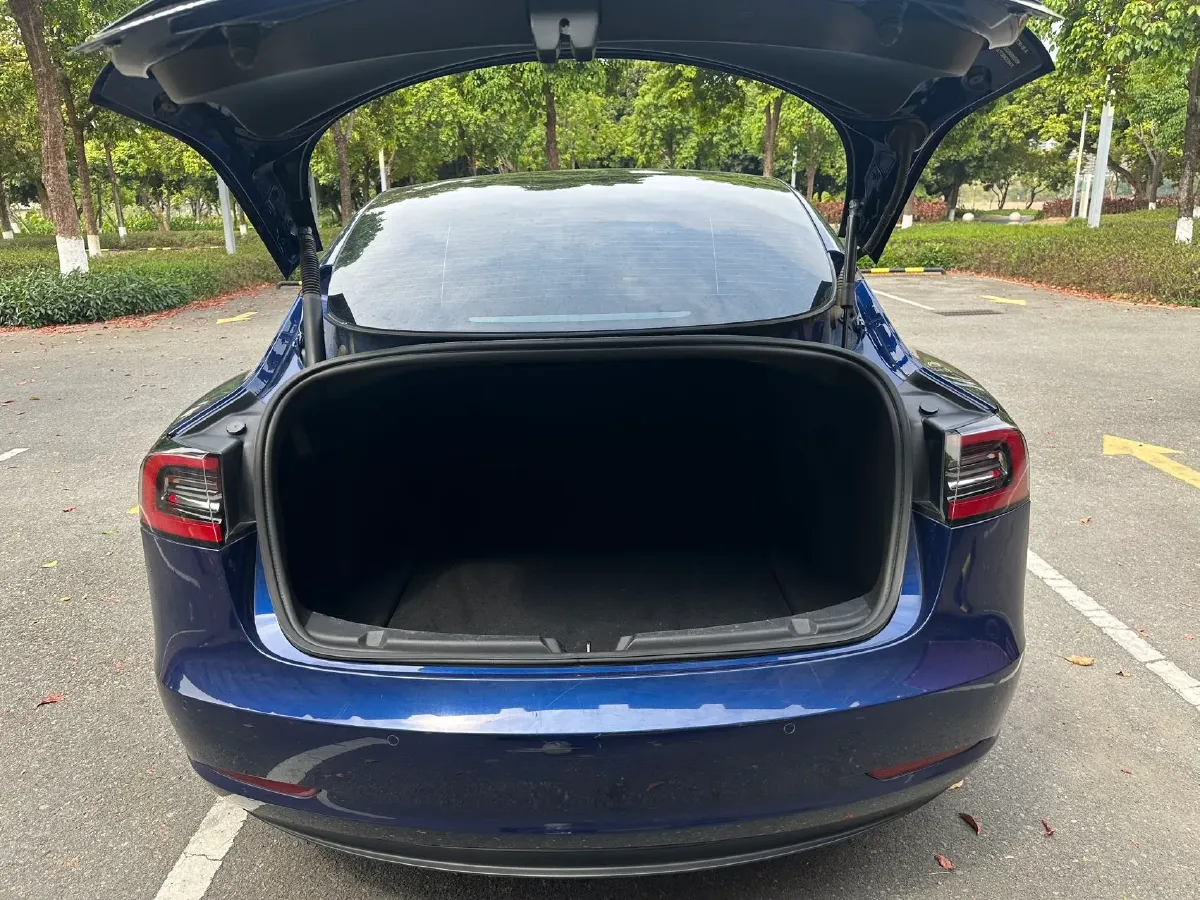 2022 Tesla Model 3 BEV 60KWH,autocango,china used car exporter,china ev exporter,chinese used car exporter,chinese used ev exporter