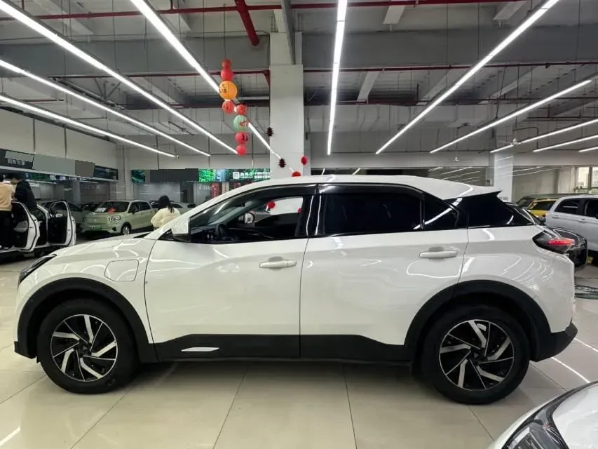 2021 Neta U BEV 54.34KWH,autocango,china used car exporter,china ev exporter,chinese used car exporter,chinese used ev exporter