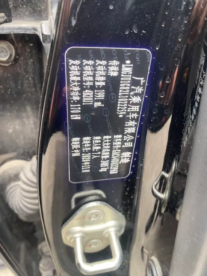 2020 GAC Trumpchi GS8 2.0T 252HP L4 6AT,autocango,china used car exporter,china ev exporter,chinese used car exporter,chinese used ev exporter