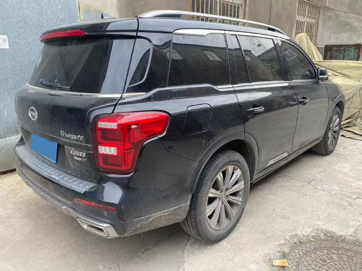 2020 GAC Trumpchi GS8 2.0T 252HP L4 6AT,autocango,china used car exporter,china ev exporter,chinese used car exporter,chinese used ev exporter