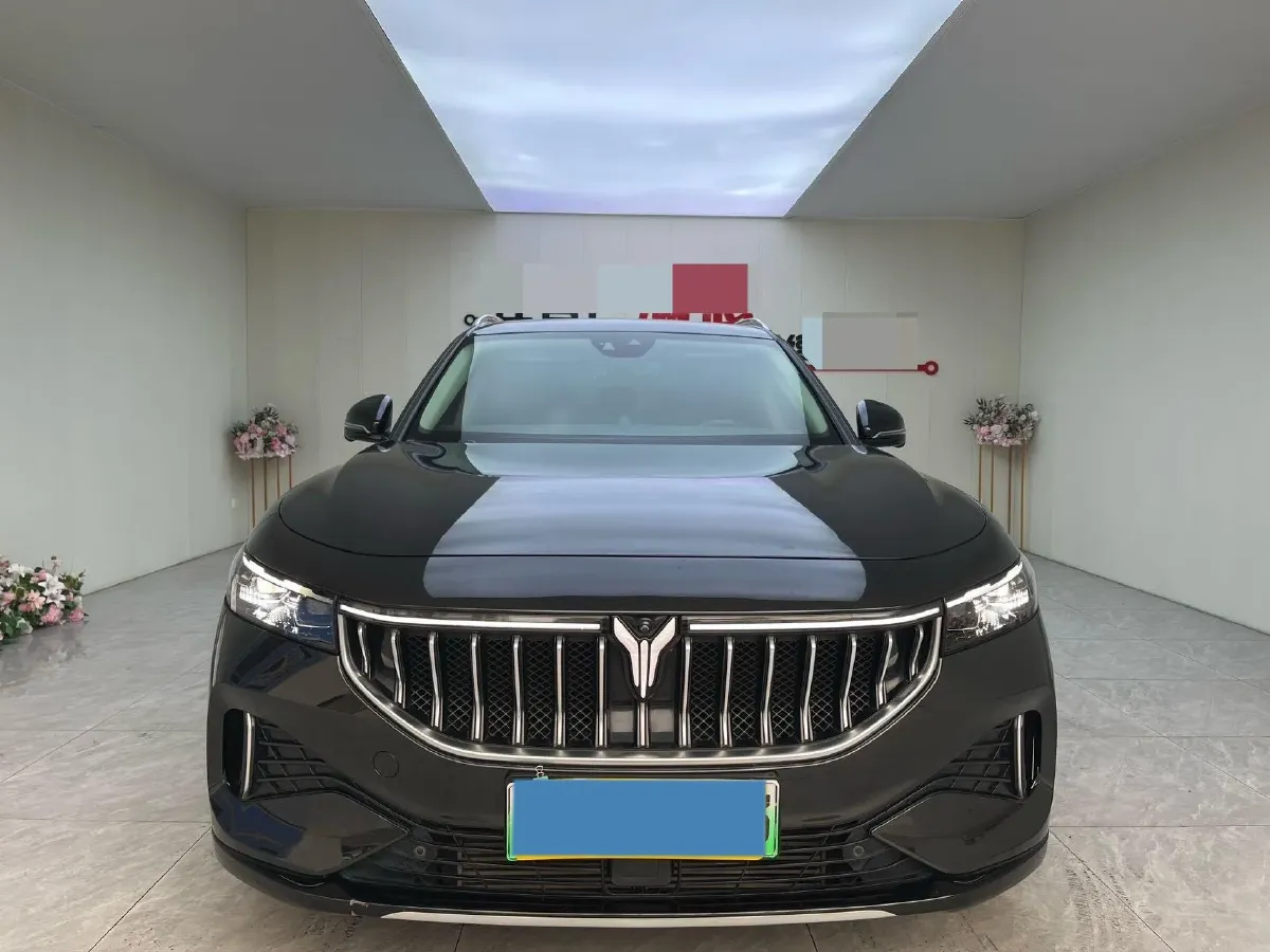 2021 Voyah FREE Range Extended 109HP REEV 33KWH,autocango,china used car exporter,china ev exporter,chinese used car exporter,chinese used ev exporter