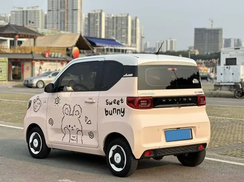 2021 WuLing HongGuang MINI EV BEV 13.9KWH,autocango,china used car exporter,china ev exporter,chinese used car exporter,chinese used ev exporter