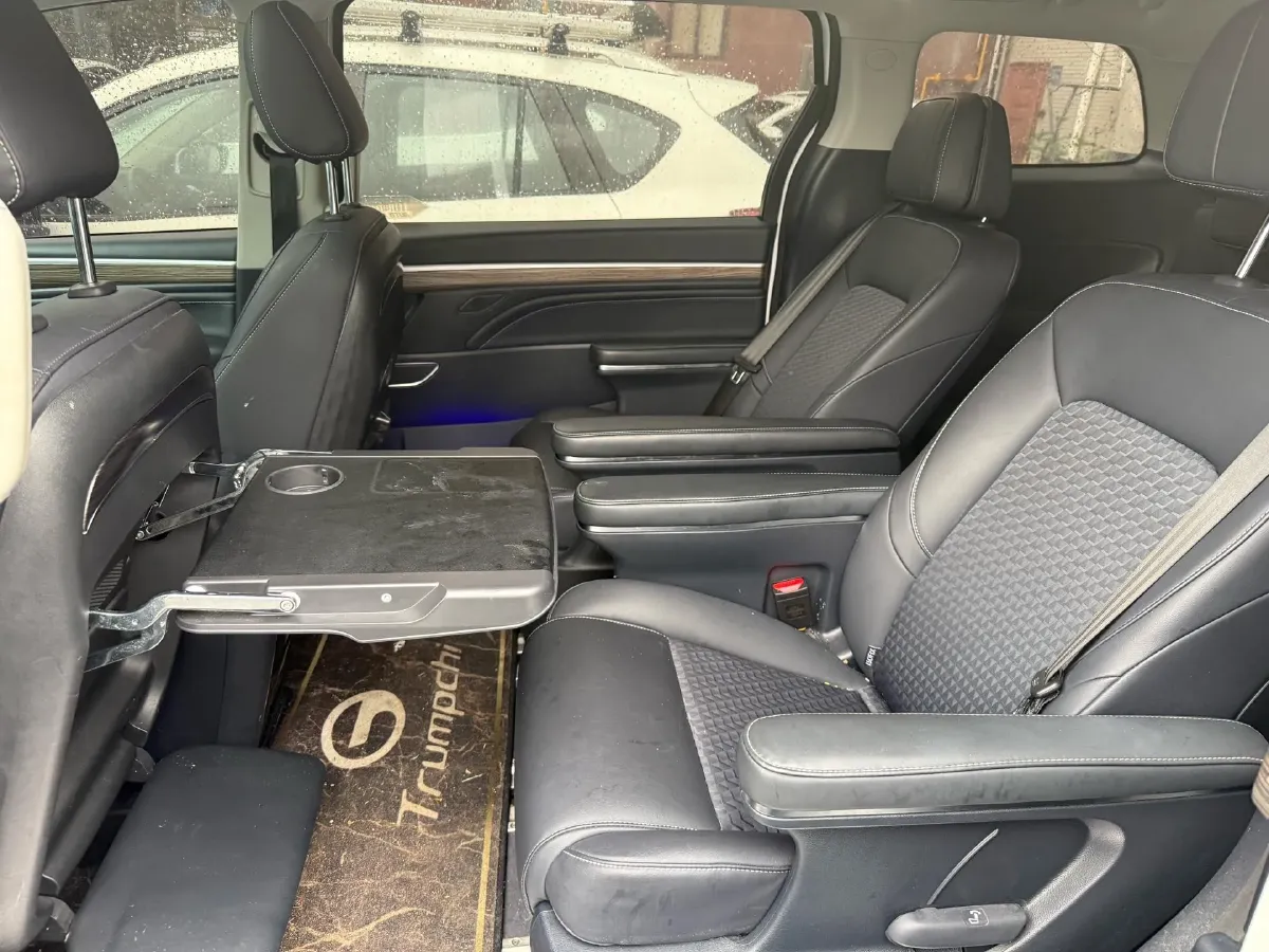 2023 GAC Trumpchi M8 2.0T 252HP L4 8AT,autocango,china used car exporter,china ev exporter,chinese used car exporter,chinese used ev exporter