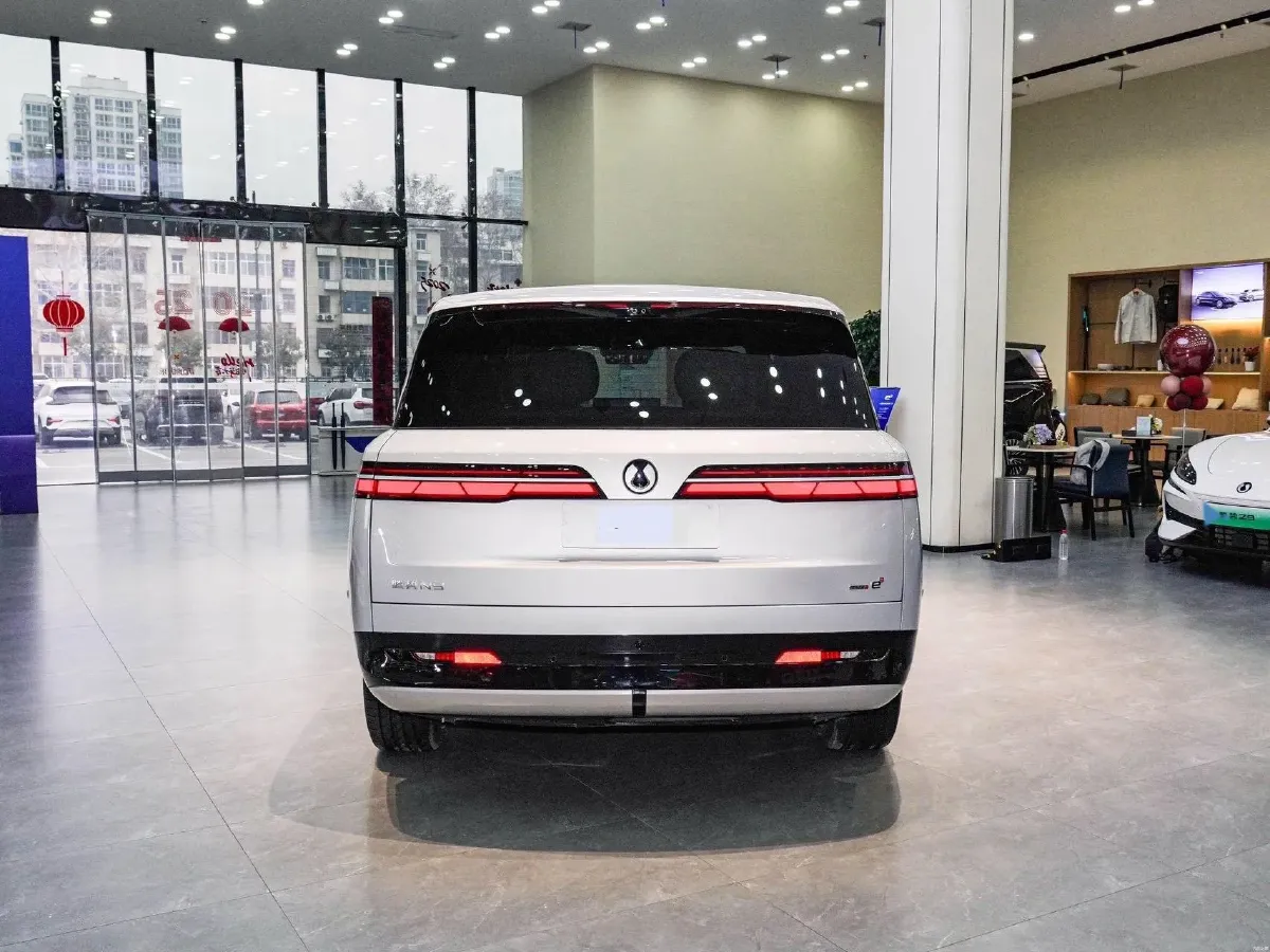2025 Denza DenzaN9 2.0T 207HP L4 E-CVT PHEV,autocango,china used car exporter,china ev exporter,chinese used car exporter,chinese used ev exporter