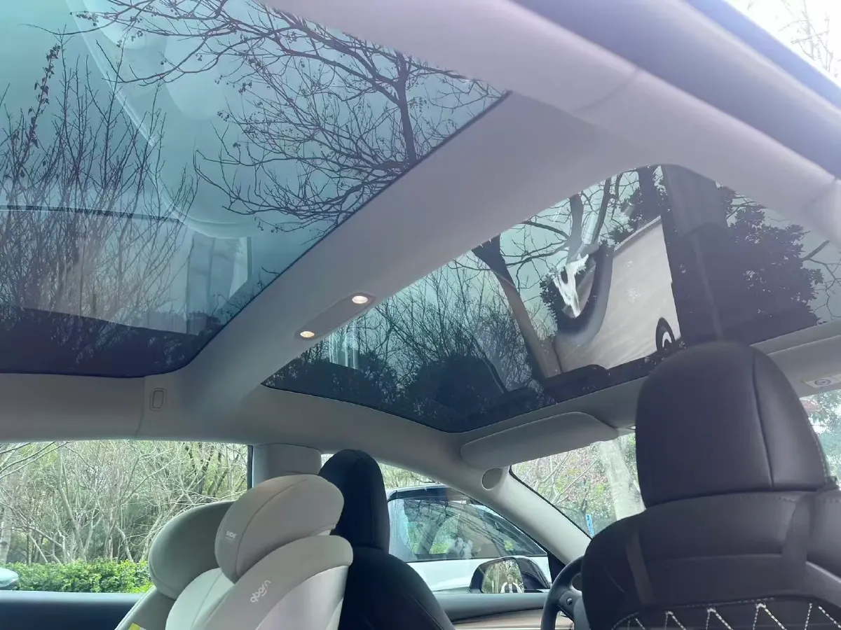 2022 Tesla Model 3 BEV 60KWH,autocango,china used car exporter,china ev exporter,chinese used car exporter,chinese used ev exporter