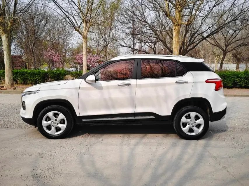 2017 BaoJun 310W 1.5L 105HP L4 6MT,autocango,china used car exporter,china ev exporter,chinese used car exporter,chinese used ev exporter