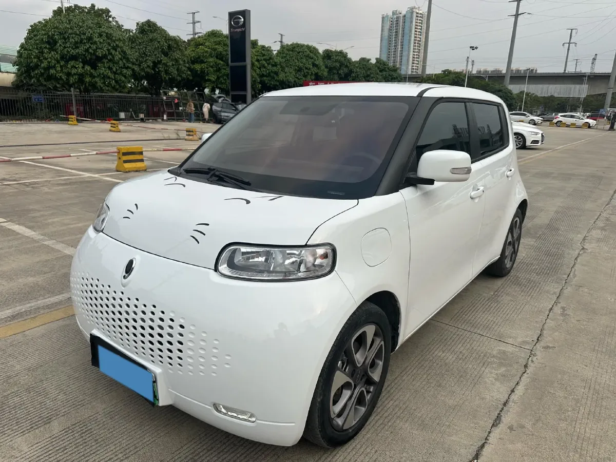 2020 Ora WhiteCat BEV 29.4KWH,autocango,china used car exporter,china ev exporter,chinese used car exporter,chinese used ev exporter