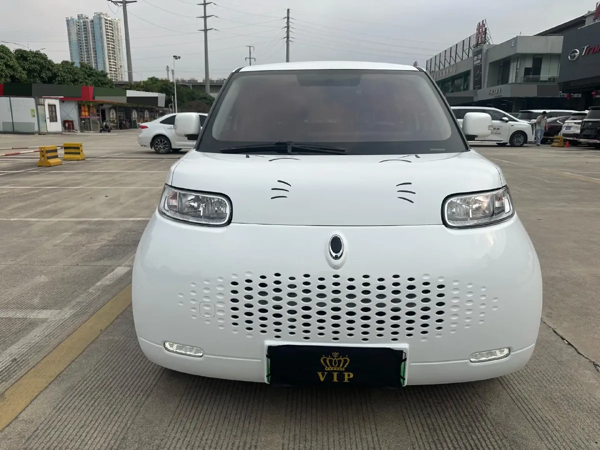 2020 Ora WhiteCat BEV 29.4KWH,autocango,china used car exporter,china ev exporter,chinese used car exporter,chinese used ev exporter
