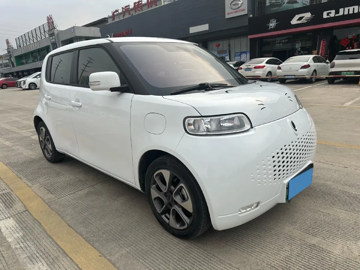 2020 Ora WhiteCat BEV 29.4KWH,autocango,china used car exporter,china ev exporter,chinese used car exporter,chinese used ev exporter