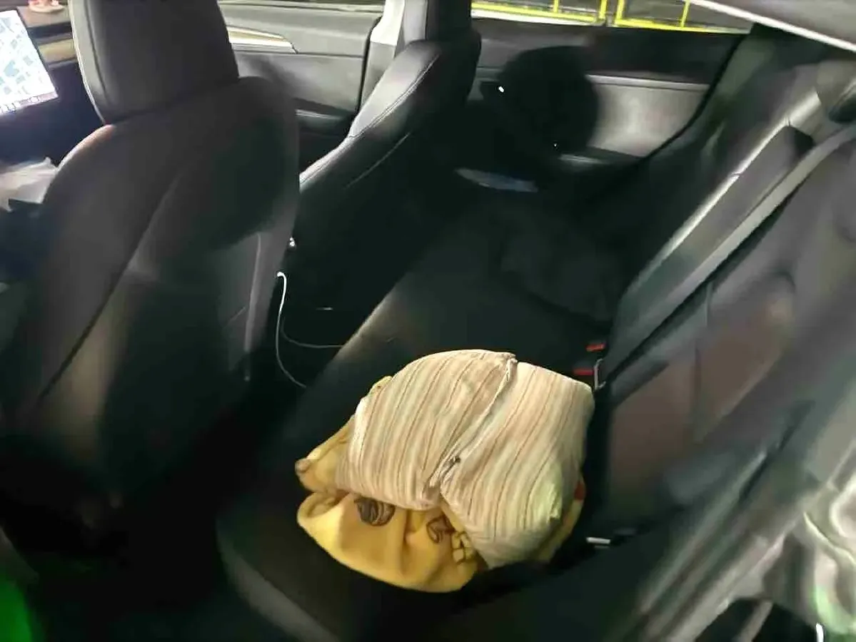 2021 Tesla Model 3 BEV 55KWH,autocango,china used car exporter,china ev exporter,chinese used car exporter,chinese used ev exporter