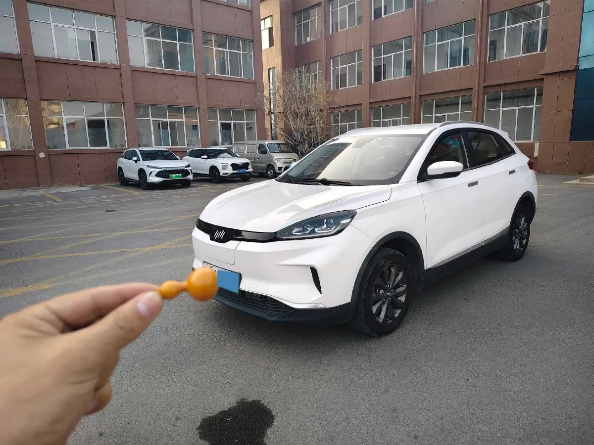 2020 Weltmeister EX5 BEV 69KWH,autocango,china used car exporter,china ev exporter,chinese used car exporter,chinese used ev exporter