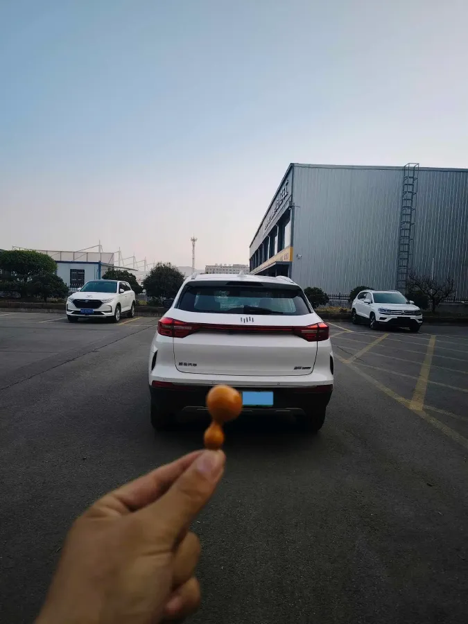 2020 Weltmeister EX5 BEV 69KWH,autocango,china used car exporter,china ev exporter,chinese used car exporter,chinese used ev exporter