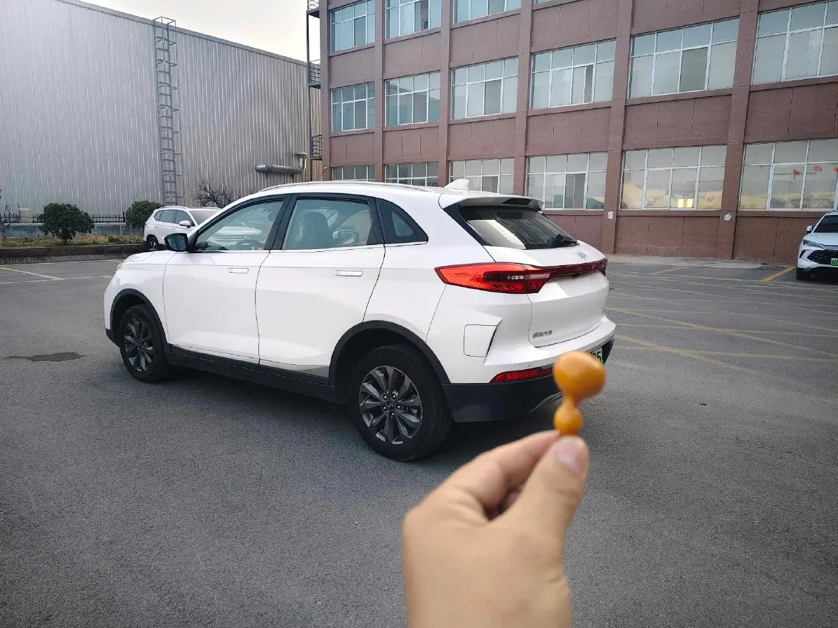 2020 Weltmeister EX5 BEV 69KWH,autocango,china used car exporter,china ev exporter,chinese used car exporter,chinese used ev exporter