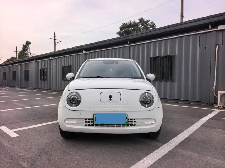 2021 Ora BlackCat BEV 33KWH,autocango,china used car exporter,china ev exporter,chinese used car exporter,chinese used ev exporter