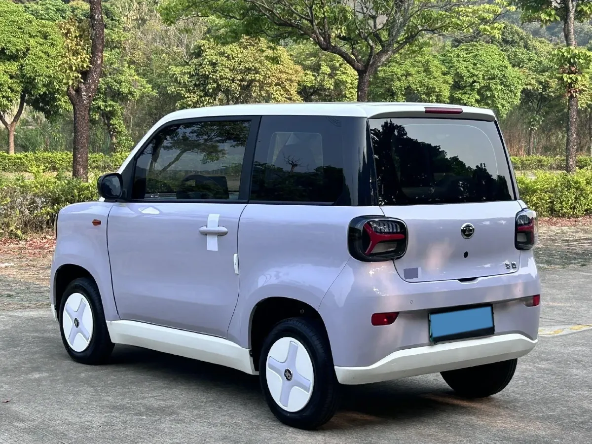 2024 ZD Rainbow BEV 17.18KWH,autocango,china used car exporter,china ev exporter,chinese used car exporter,chinese used ev exporter