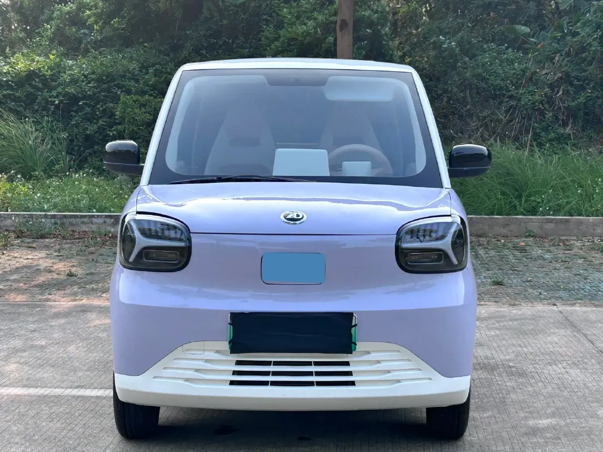2024 ZD Rainbow BEV 17.18KWH,autocango,china used car exporter,china ev exporter,chinese used car exporter,chinese used ev exporter