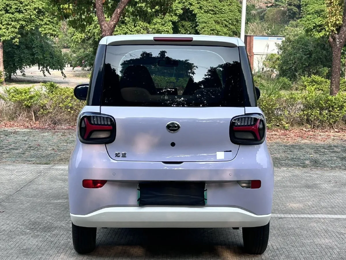 2024 ZD Rainbow BEV 17.18KWH,autocango,china used car exporter,china ev exporter,chinese used car exporter,chinese used ev exporter