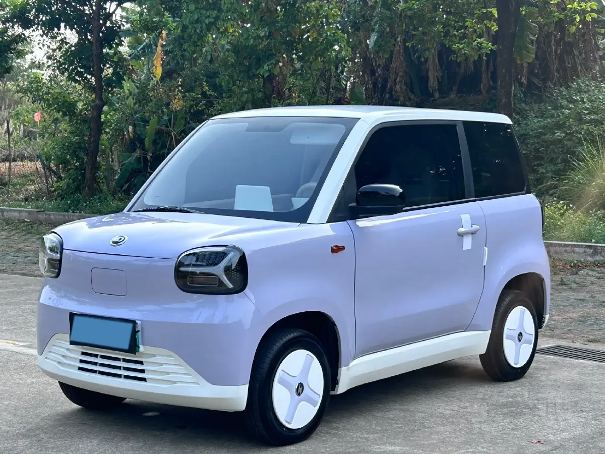 2024 ZD Rainbow BEV 17.18KWH,autocango,china used car exporter,china ev exporter,chinese used car exporter,chinese used ev exporter