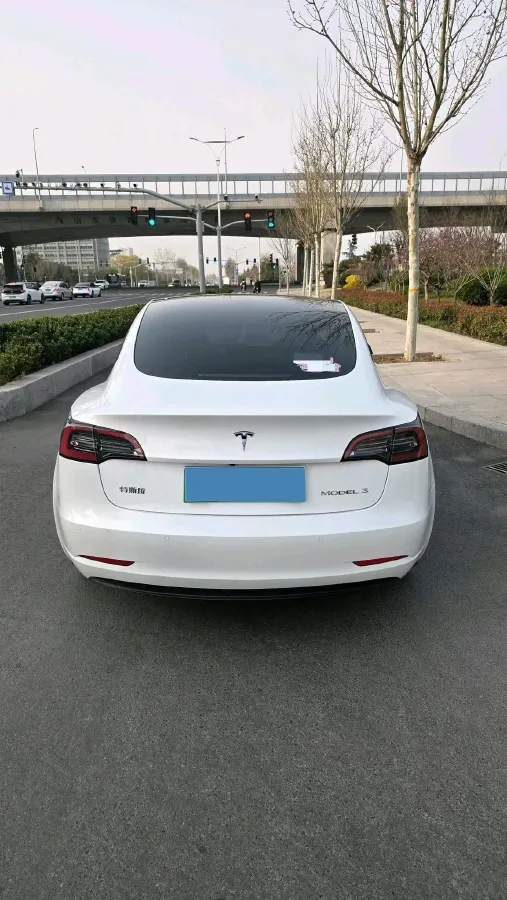 2022 Tesla Model 3 BEV 60KWH,autocango,china used car exporter,china ev exporter,chinese used car exporter,chinese used ev exporter