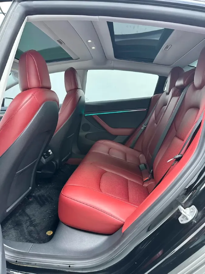 2022 Tesla Model 3 BEV 60KWH,autocango,china used car exporter,china ev exporter,chinese used car exporter,chinese used ev exporter