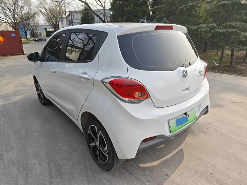 2022 ChangAn BenBen E-Star BEV 31.95KWH,autocango,china used car exporter,china ev exporter,chinese used car exporter,chinese used ev exporter