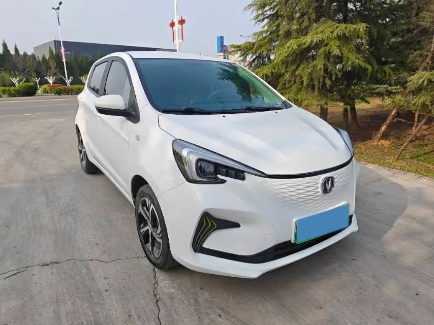 2022 ChangAn BenBen E-Star BEV 31.95KWH,autocango,china used car exporter,china ev exporter,chinese used car exporter,chinese used ev exporter