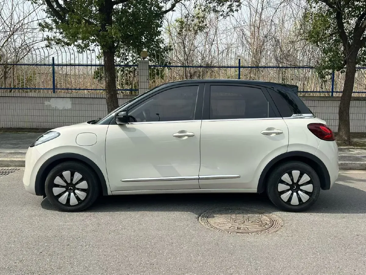 2023 WuLing BinGuo BEV 31.9KWH,autocango,china used car exporter,china ev exporter,chinese used car exporter,chinese used ev exporter
