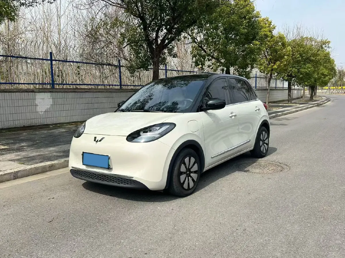 2023 WuLing BinGuo BEV 31.9KWH,autocango,china used car exporter,china ev exporter,chinese used car exporter,chinese used ev exporter