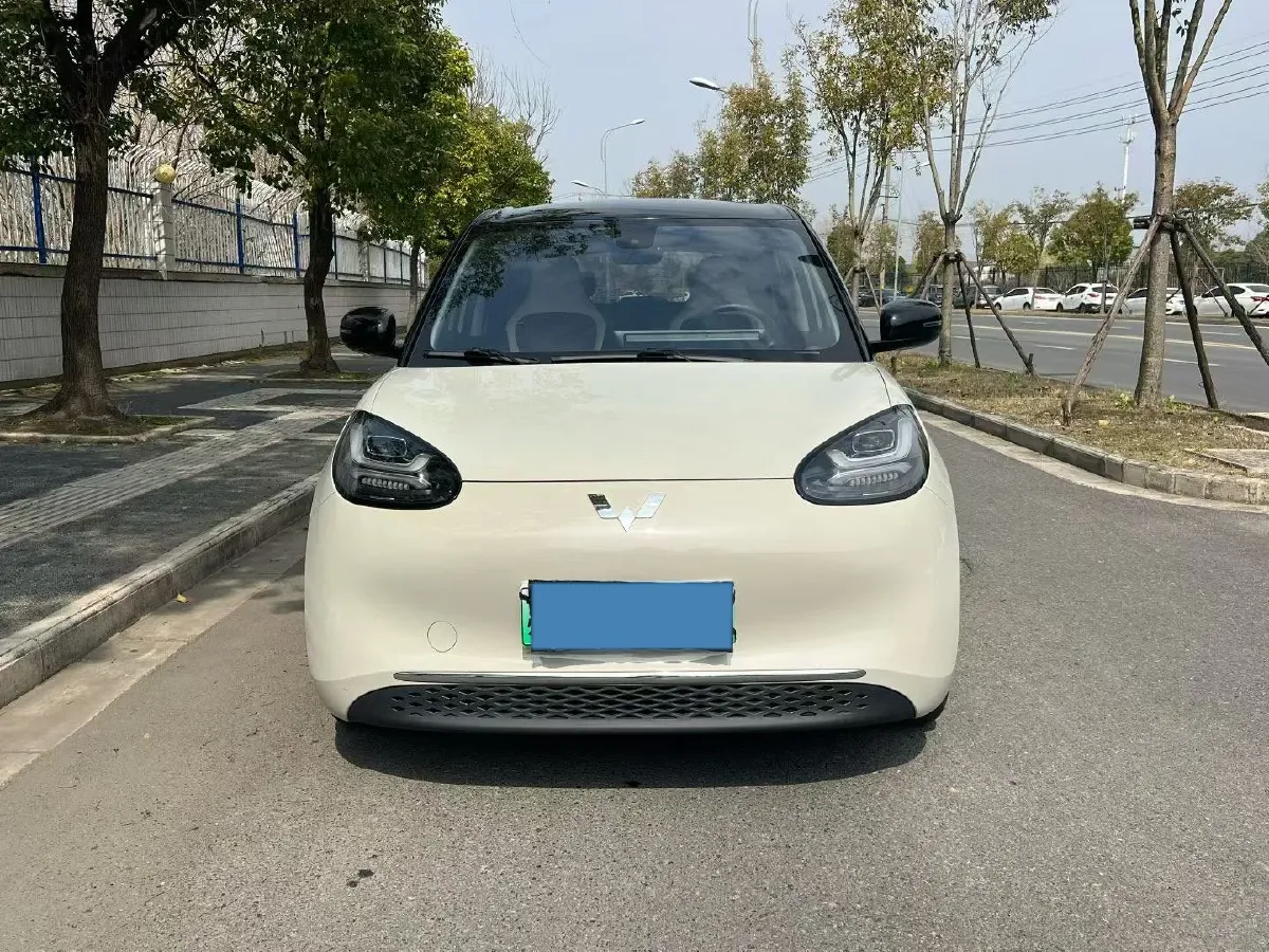 2023 WuLing BinGuo BEV 31.9KWH,autocango,china used car exporter,china ev exporter,chinese used car exporter,chinese used ev exporter