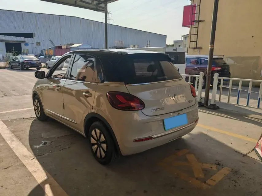 2023 WuLing BinGuo BEV 31.9KWH,autocango,china used car exporter,china ev exporter,chinese used car exporter,chinese used ev exporter