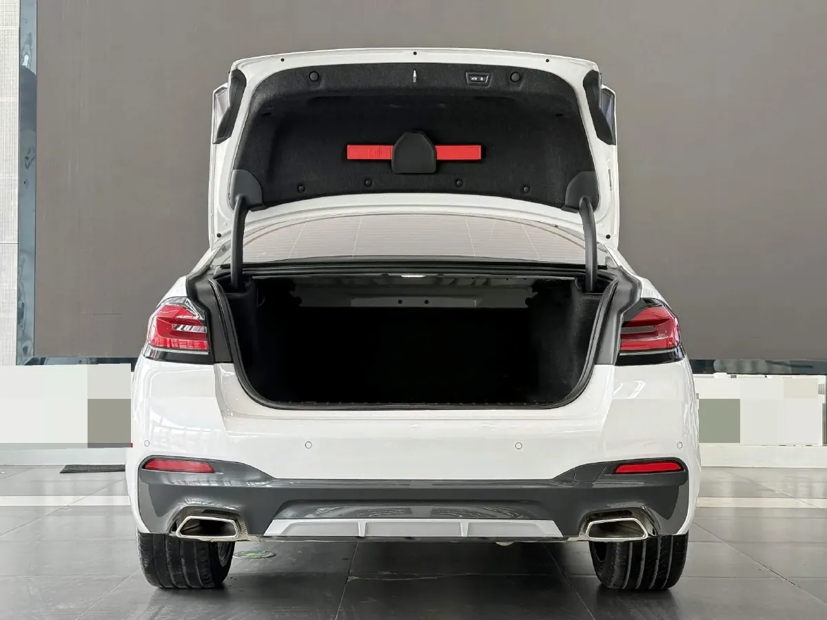 2021 BMW 5 Series 2.0T 252HP L4 8AT,autocango,china used car exporter,china ev exporter,chinese used car exporter,chinese used ev exporter