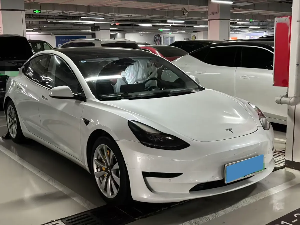 2021 Tesla Model 3 BEV 55KWH,autocango,china used car exporter,china ev exporter,chinese used car exporter,chinese used ev exporter