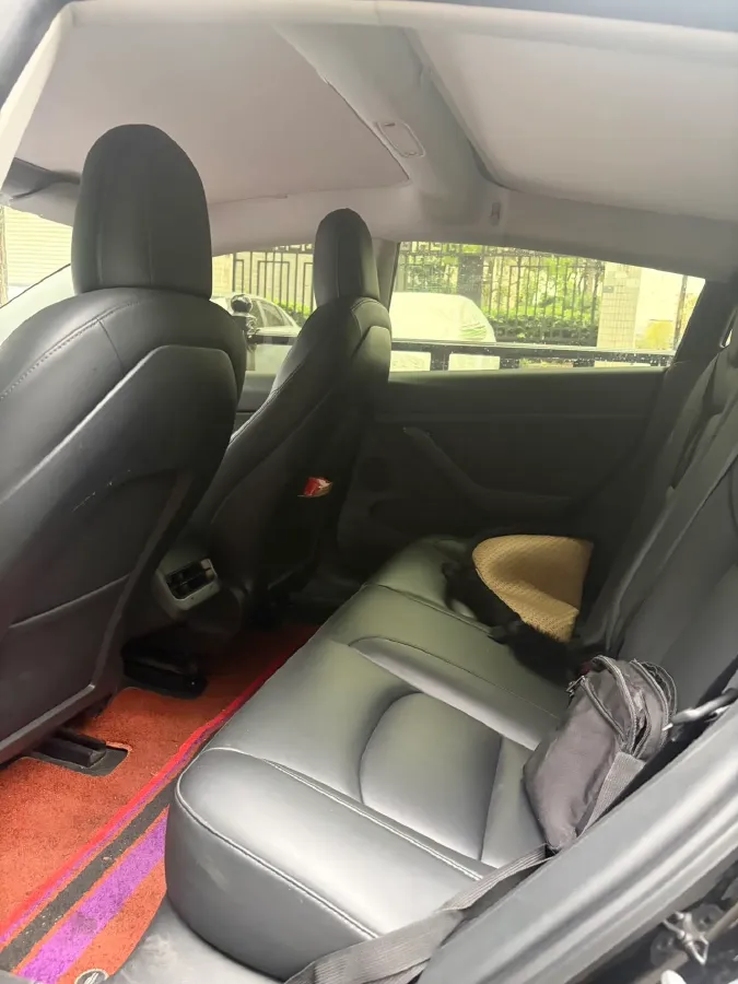 2021 Tesla Model 3 BEV 55KWH,autocango,china used car exporter,china ev exporter,chinese used car exporter,chinese used ev exporter