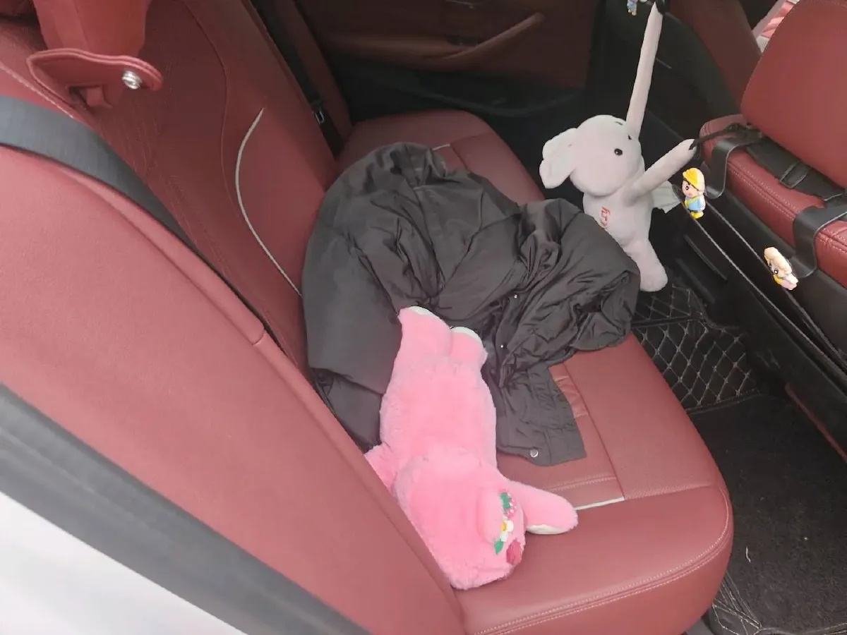 2022 BMW 5 Series 2.0T 252HP L4 8AT,autocango,china used car exporter,china ev exporter,chinese used car exporter,chinese used ev exporter