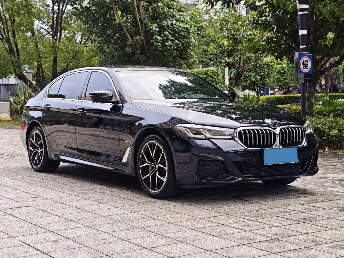 2022 BMW 5 Series 2.0T 252HP L4 8AT,autocango,china used car exporter,china ev exporter,chinese used car exporter,chinese used ev exporter