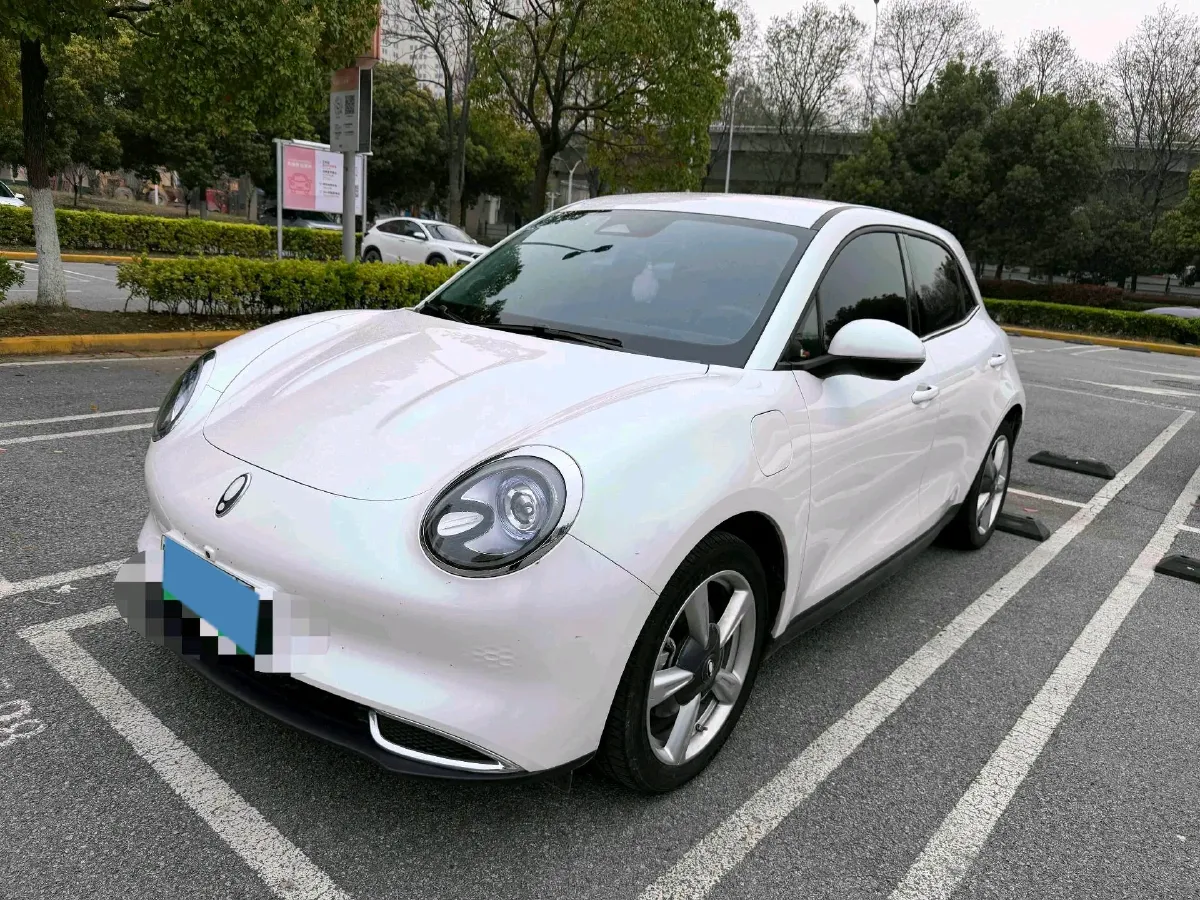 2023 Ora FunkyCat BEV 47.8KWH,autocango,china used car exporter,china ev exporter,chinese used car exporter,chinese used ev exporter
