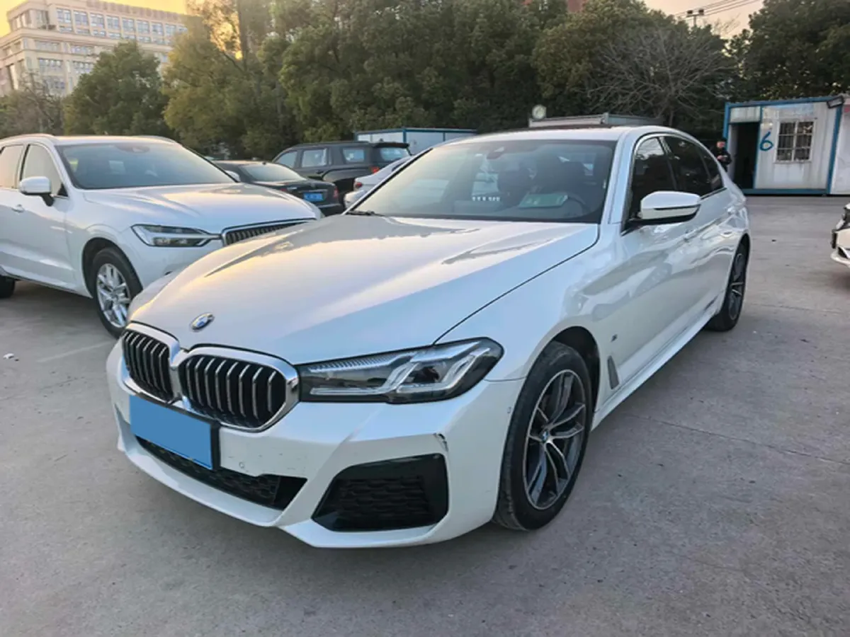 2021 BMW 5 Series 2.0T 184HP L4 8AT,autocango,china used car exporter,china ev exporter,chinese used car exporter,chinese used ev exporter
