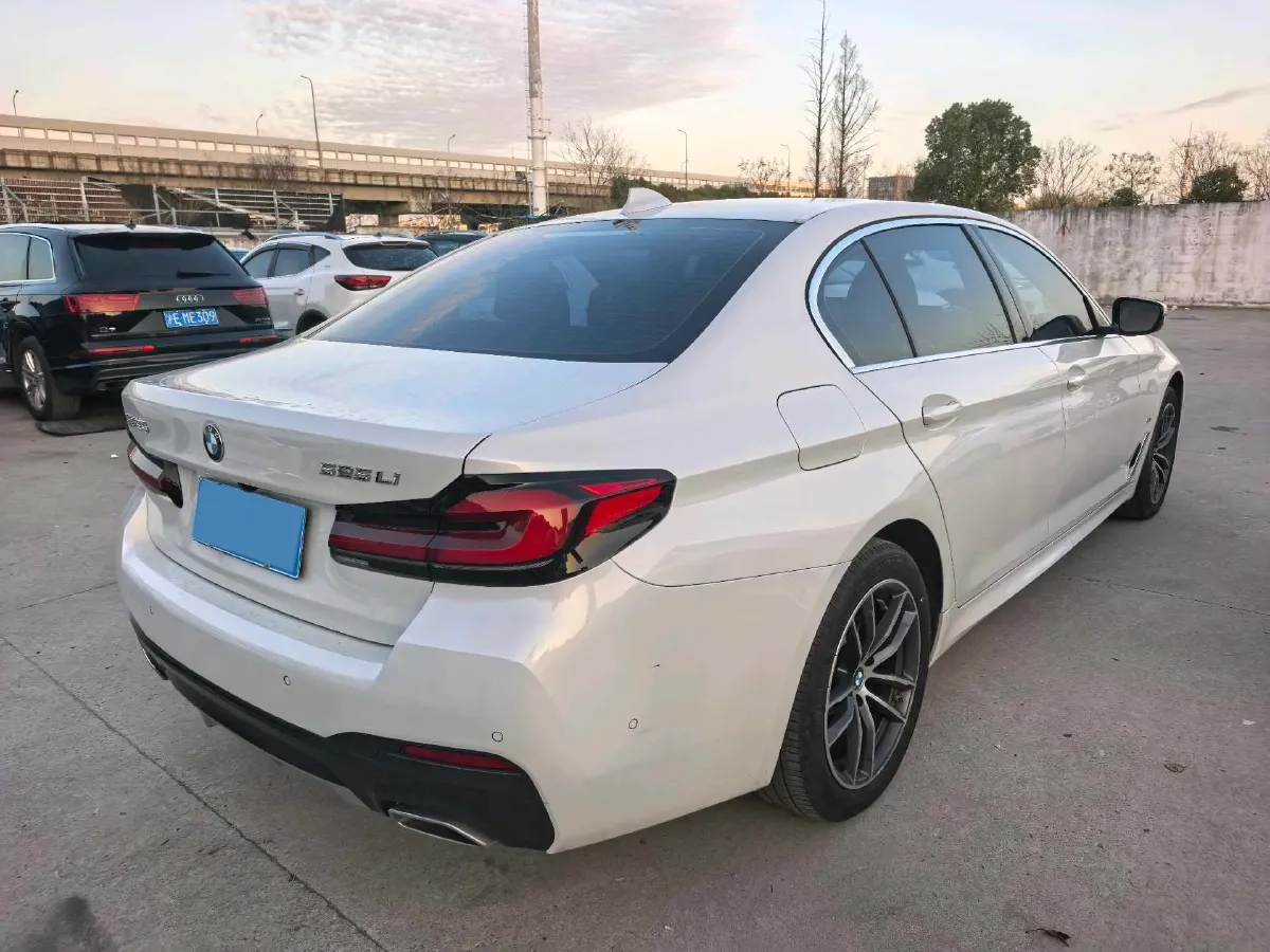 2021 BMW 5 Series 2.0T 184HP L4 8AT,autocango,china used car exporter,china ev exporter,chinese used car exporter,chinese used ev exporter