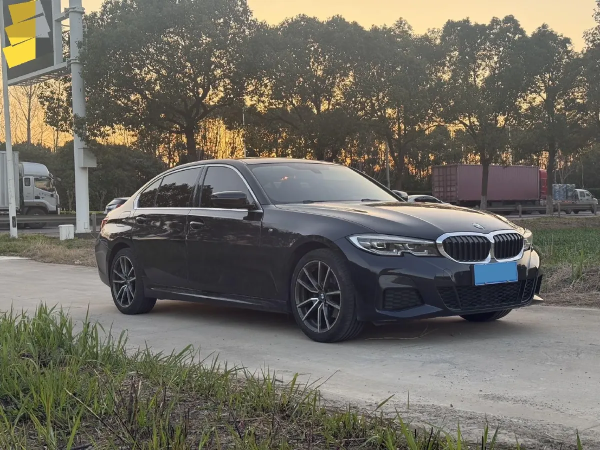 2021 BMW 3 Series 2.0T 156HP L4 8AT,autocango,china used car exporter,china ev exporter,chinese used car exporter,chinese used ev exporter