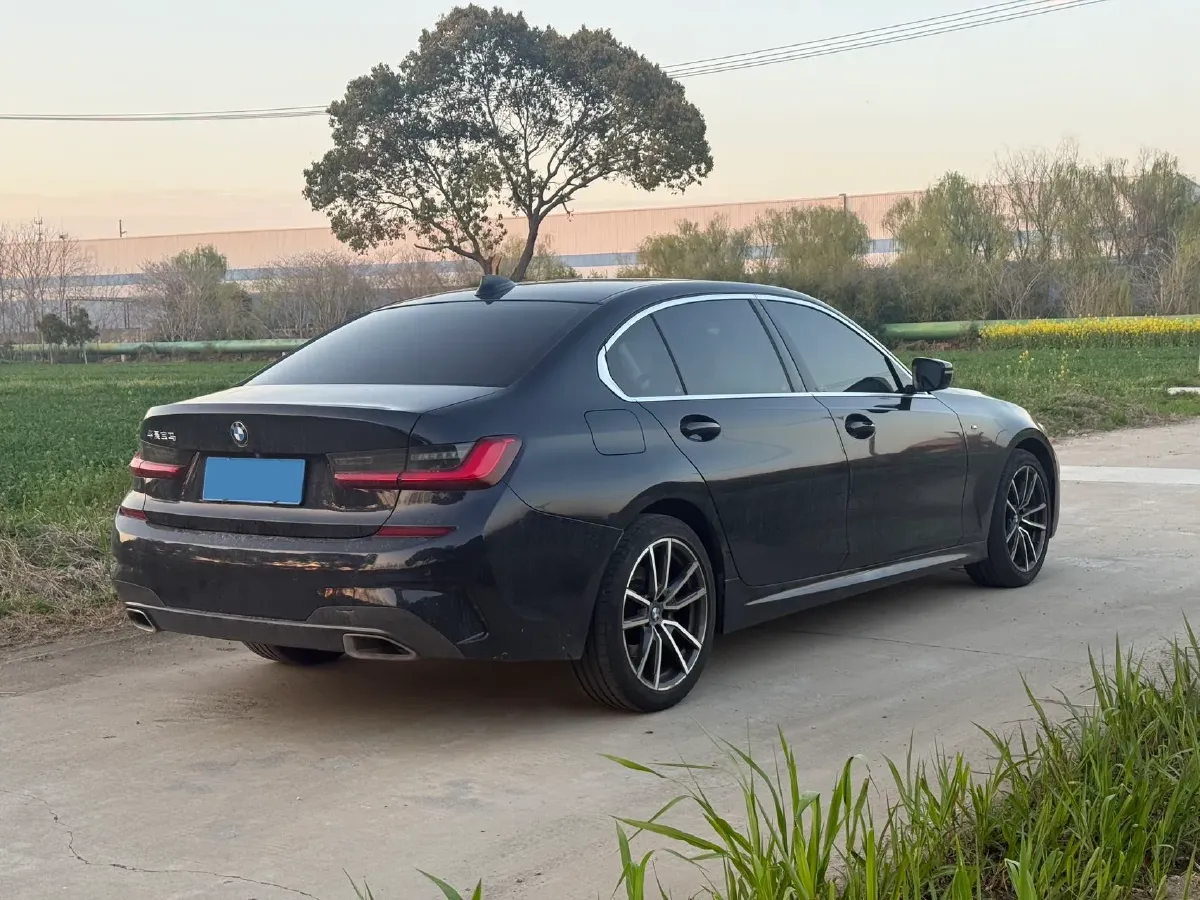 2021 BMW 3 Series 2.0T 156HP L4 8AT,autocango,china used car exporter,china ev exporter,chinese used car exporter,chinese used ev exporter