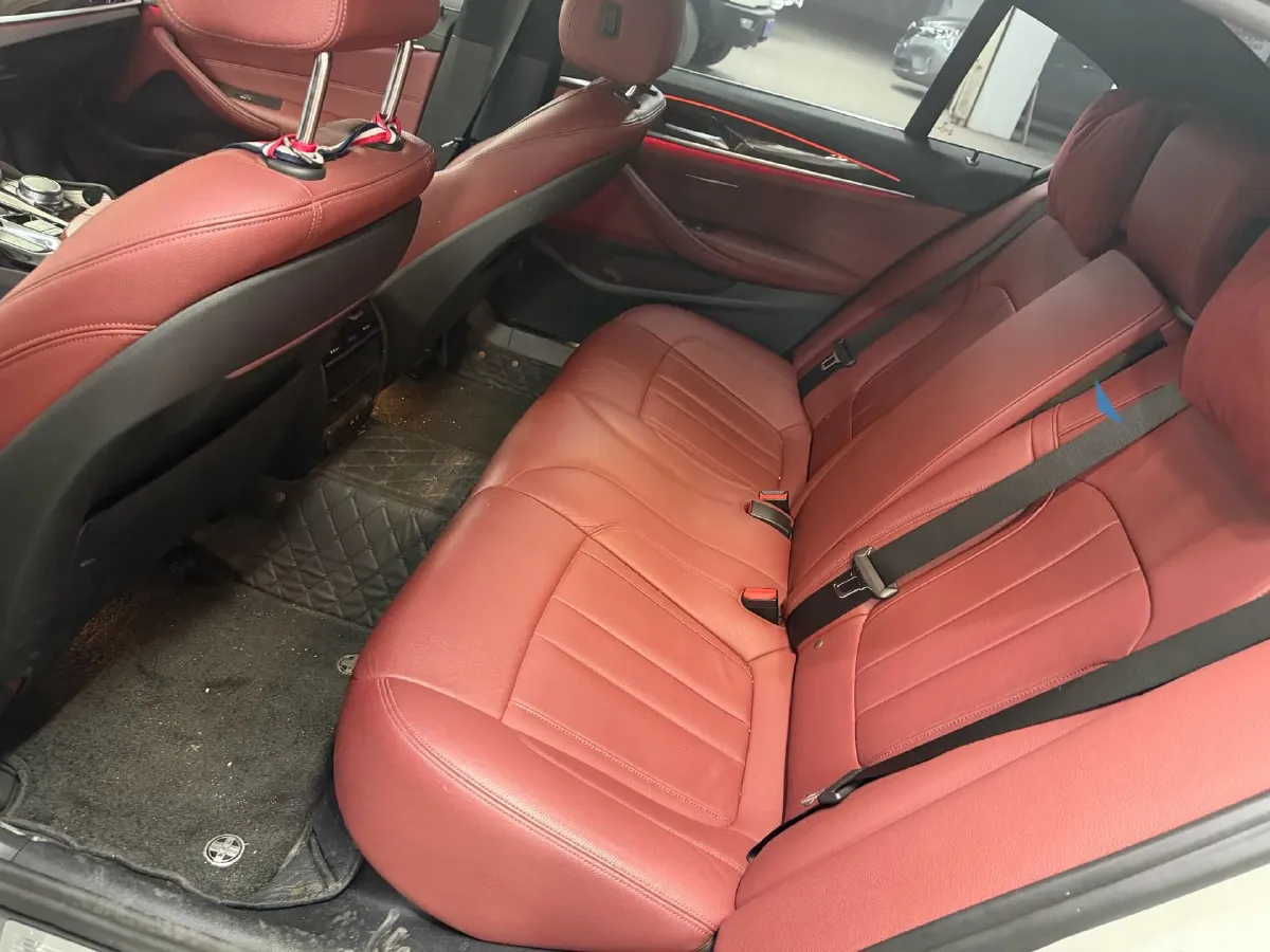 2020 BMW 5 Series 2.0T 252HP L4 8AT,autocango,china used car exporter,china ev exporter,chinese used car exporter,chinese used ev exporter