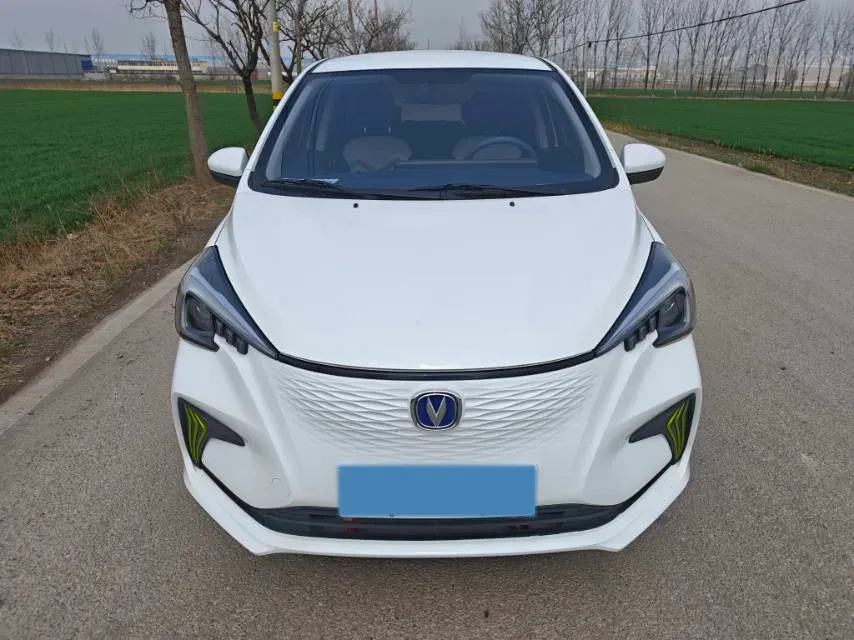2022 ChangAn BenBen E-Star BEV 31.95KWH,autocango,china used car exporter,china ev exporter,chinese used car exporter,chinese used ev exporter
