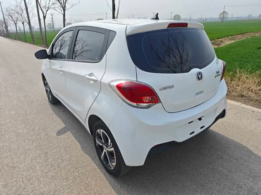 2022 ChangAn BenBen E-Star BEV 31.95KWH,autocango,china used car exporter,china ev exporter,chinese used car exporter,chinese used ev exporter
