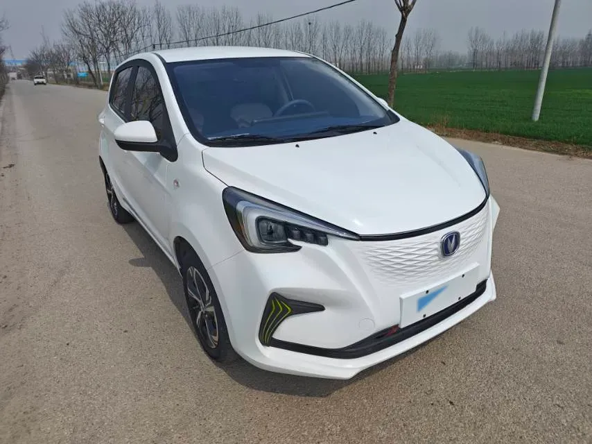 2022 ChangAn BenBen E-Star BEV 31.95KWH,autocango,china used car exporter,china ev exporter,chinese used car exporter,chinese used ev exporter