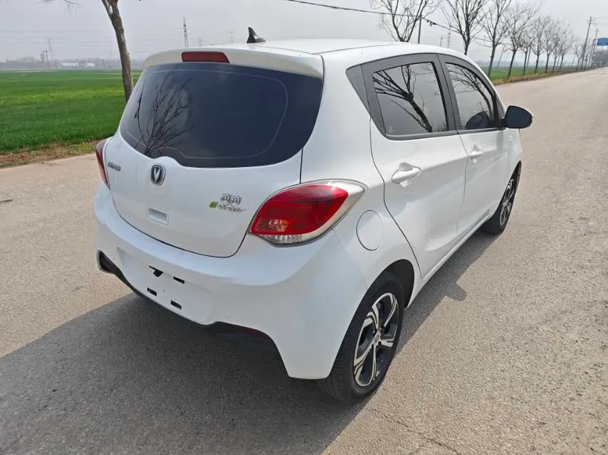 2022 ChangAn BenBen E-Star BEV 31.95KWH,autocango,china used car exporter,china ev exporter,chinese used car exporter,chinese used ev exporter