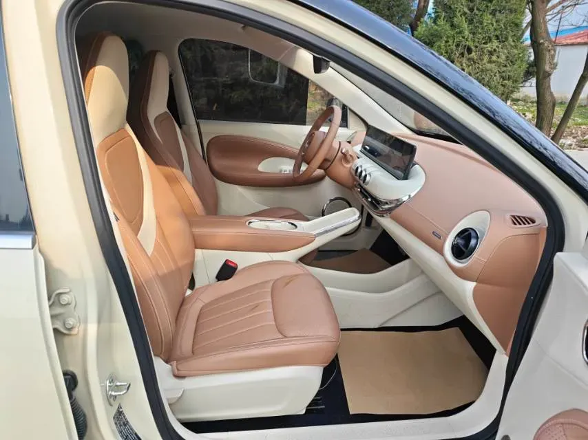 2025 WuLing BinGuo BEV,autocango,china used car exporter,china ev exporter,chinese used car exporter,chinese used ev exporter